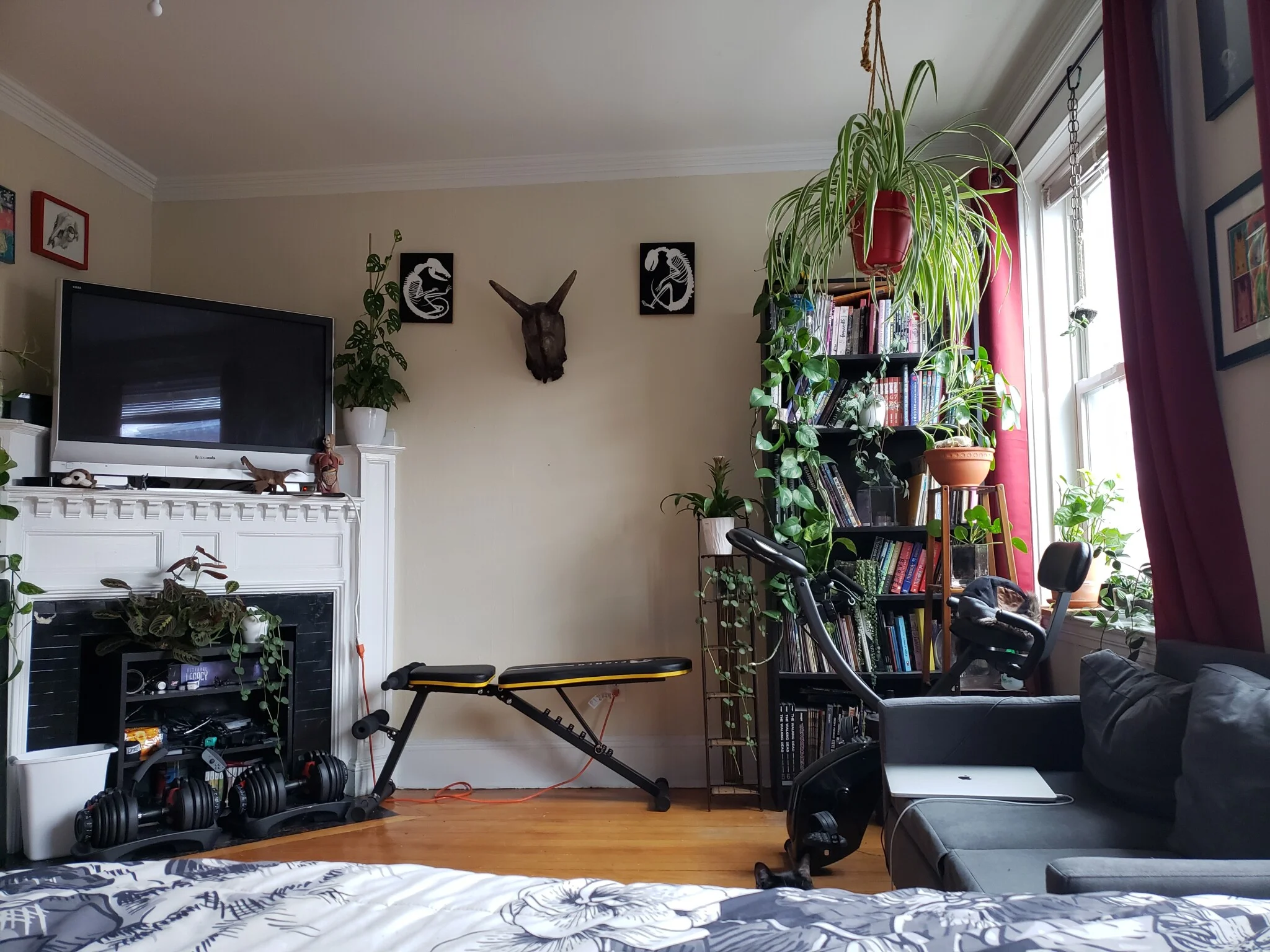 42 Park Vale Ave, Brighton