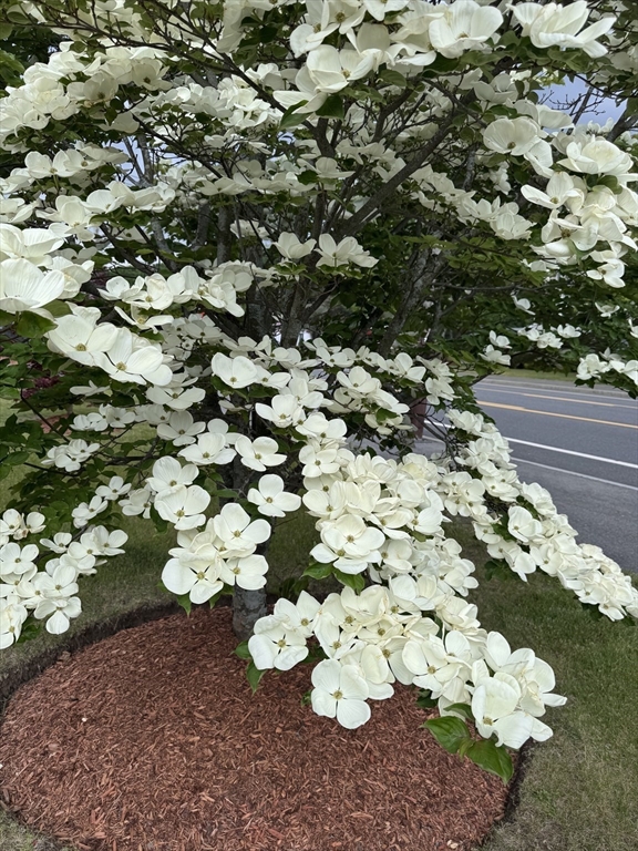 239 Main St, Reading