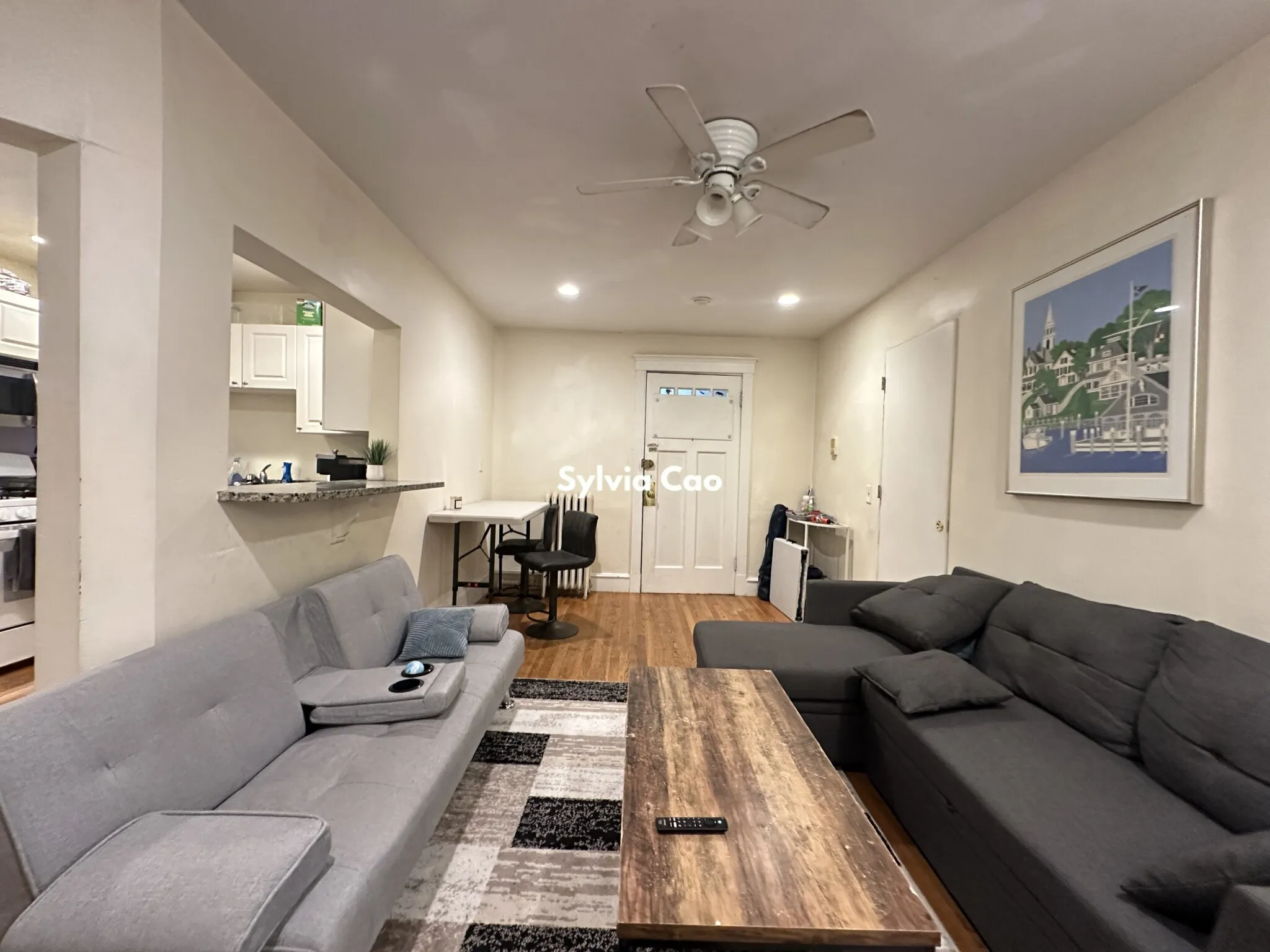 56 Egmont St, North Brookline