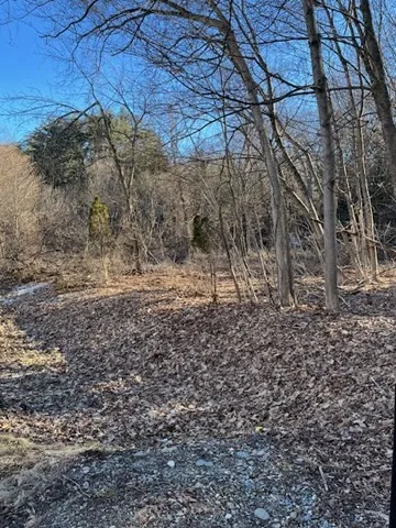 35 Fredonian St, Shirley