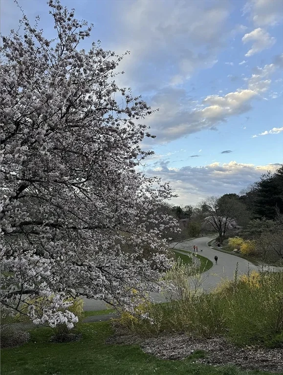 34 Colgate Rd, Roslindale