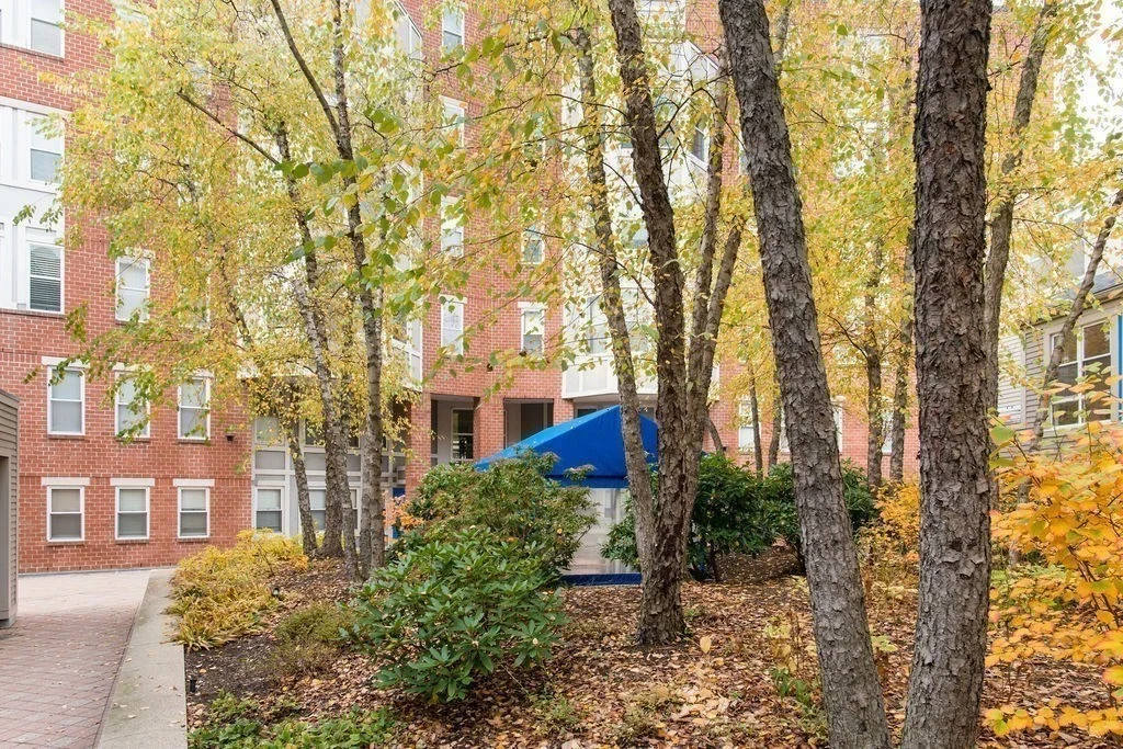 20 Chestnut St, Cambridgeport