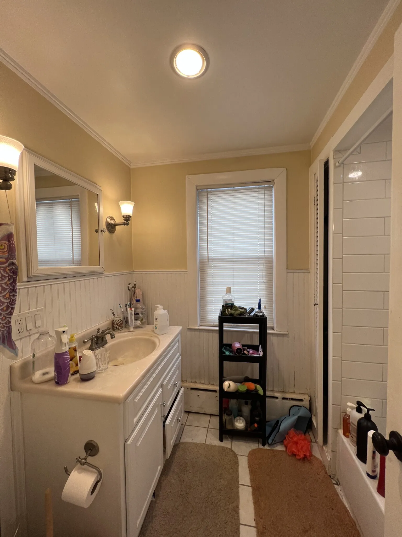 21 Chandler St, Tufts