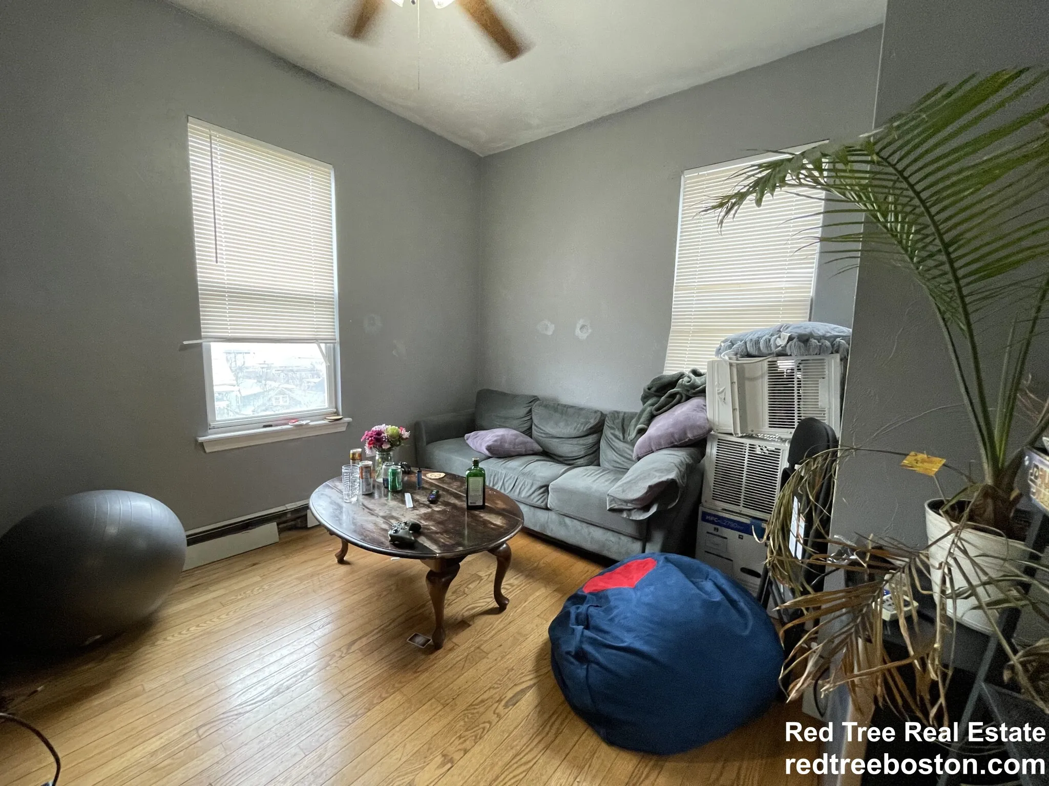 8 Eldora St, Mission Hill