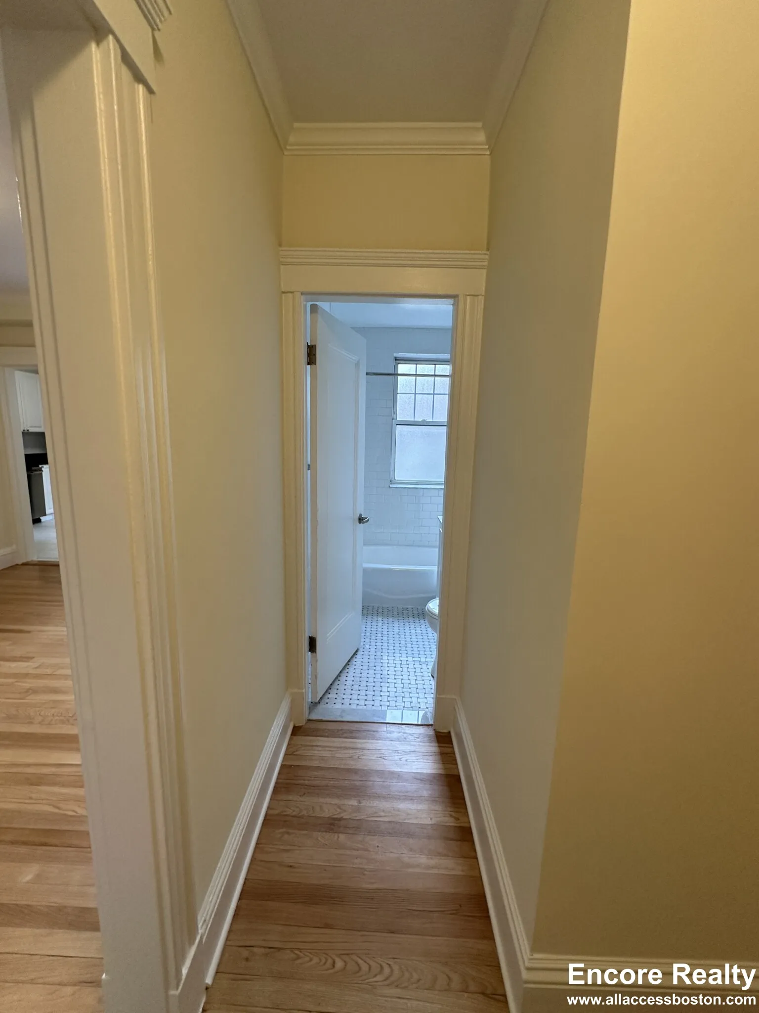 24 Chauncy St, Neighborhood Nine