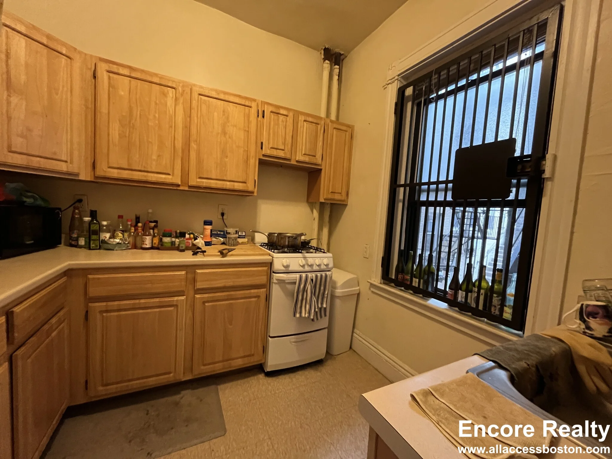 376 Riverway, Mission Hill