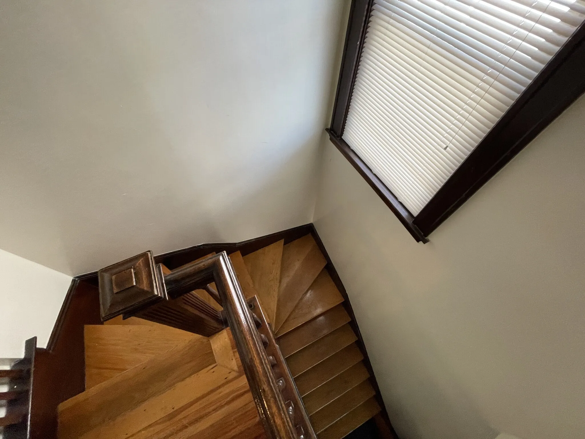 56 Hobson St, Oak Square