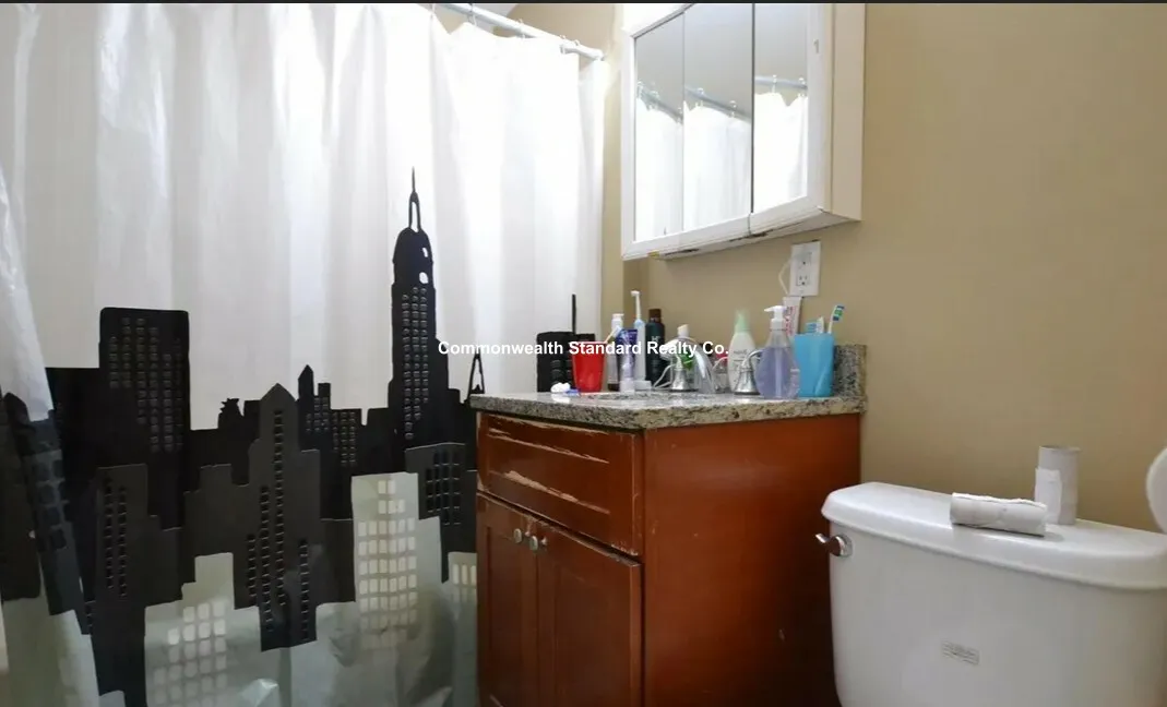 60 Egmont St, North Brookline