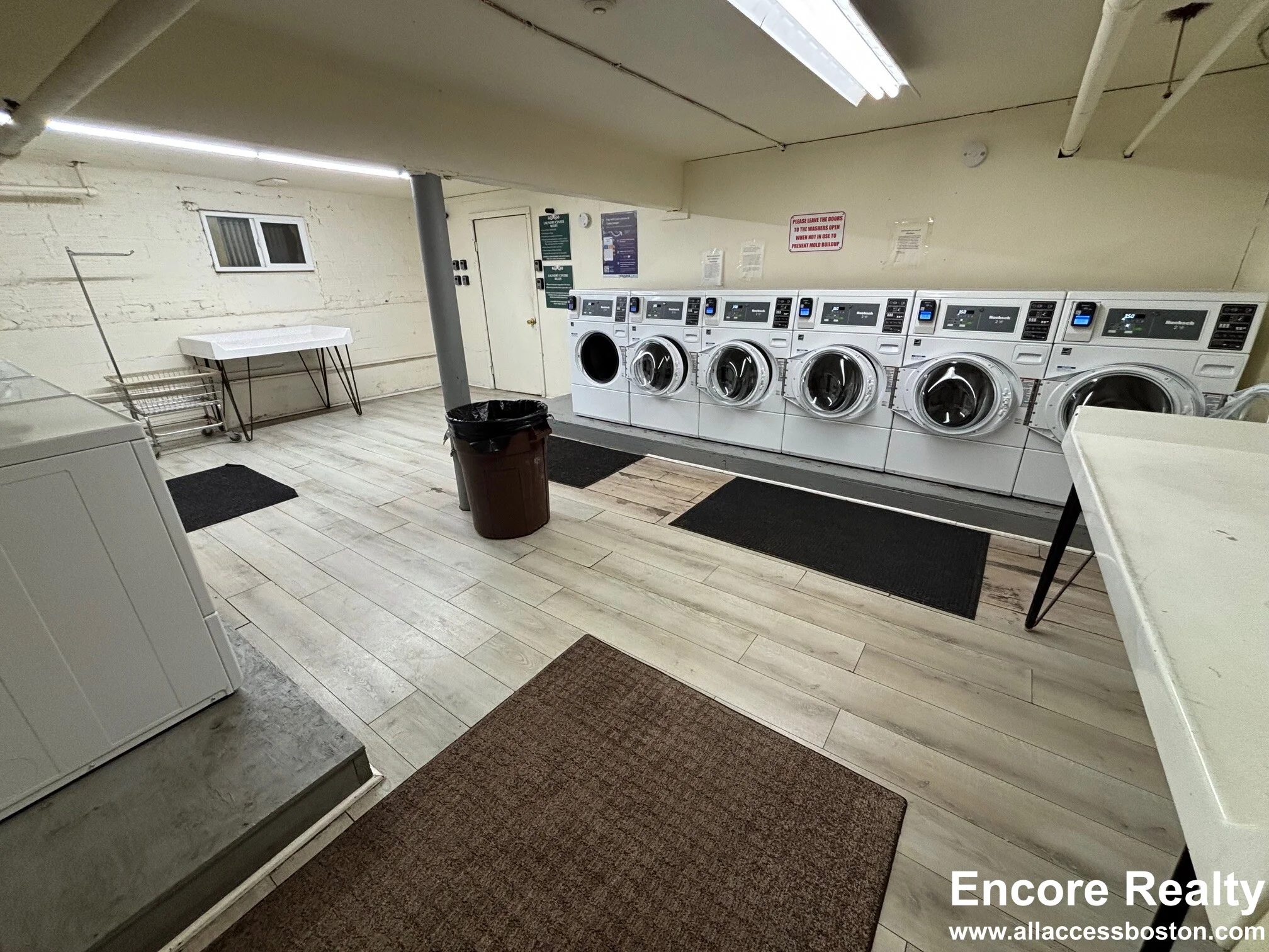 54 Egmont St, North Brookline