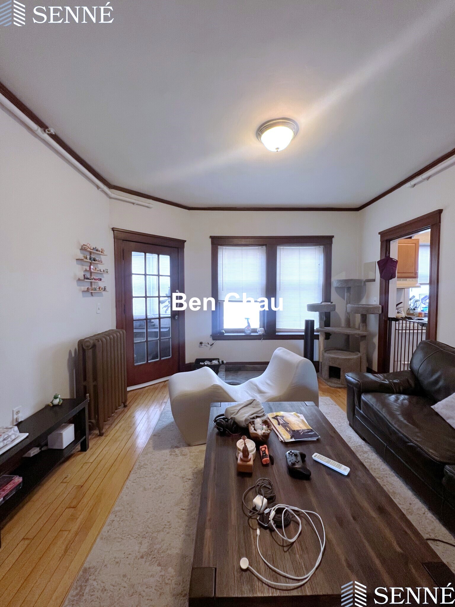 3 Linnaean St, Neighborhood Nine