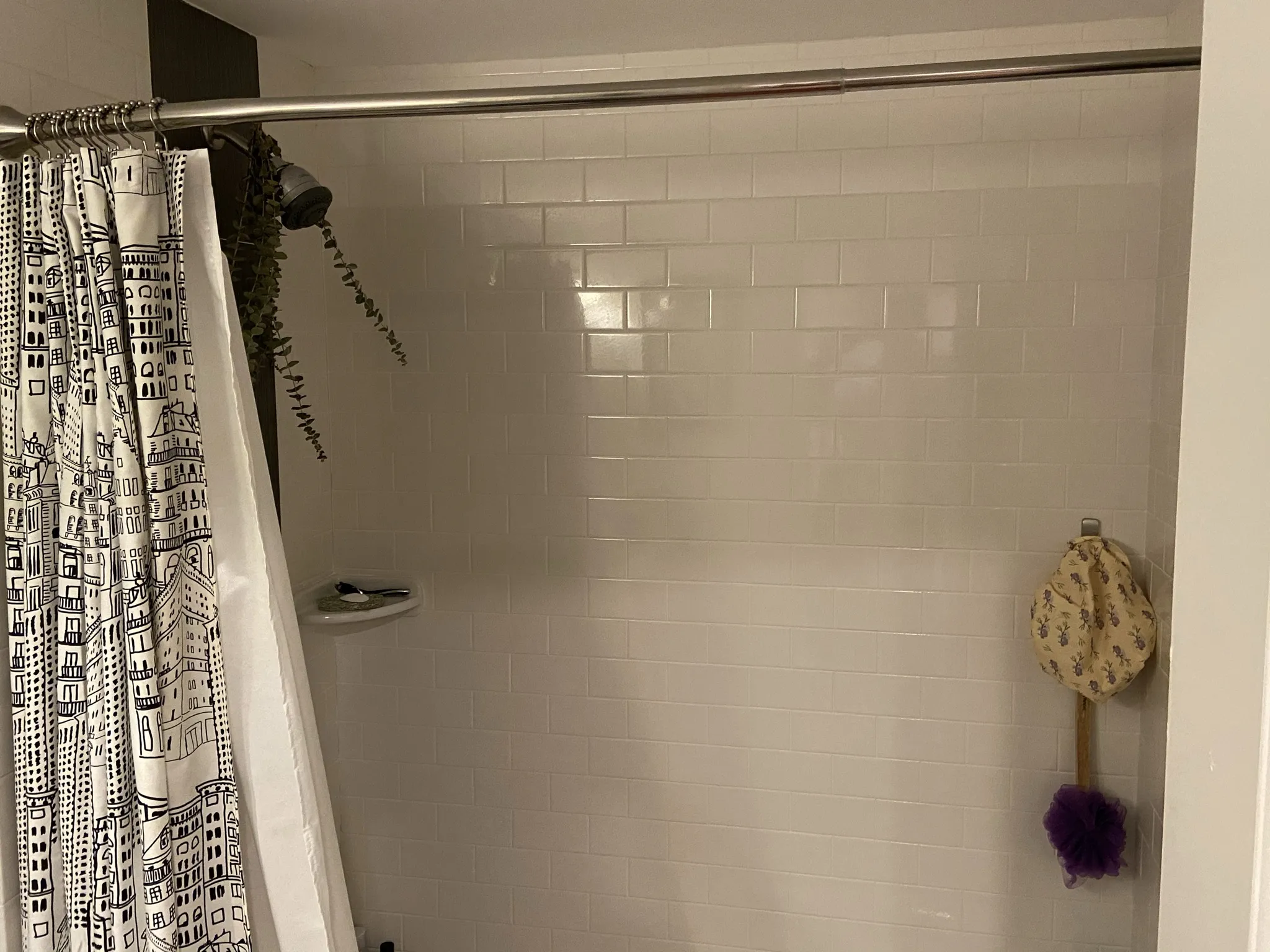 17 Bow St, Prospect Hill