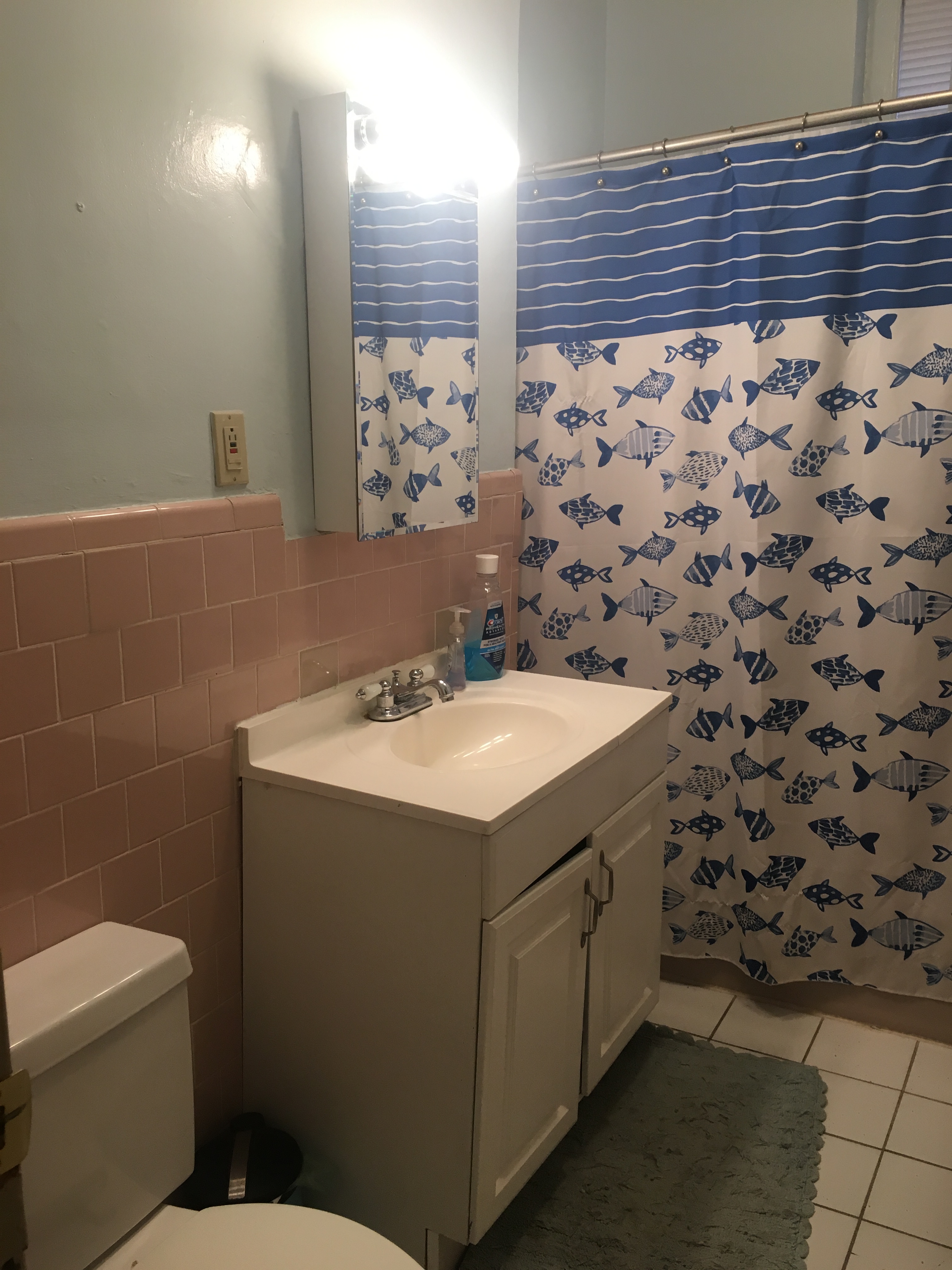 12 Parkway Rd, Riverway Island