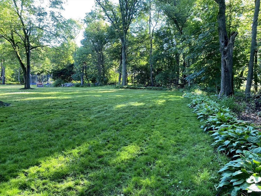 15 Winchester Dr, Lexington
