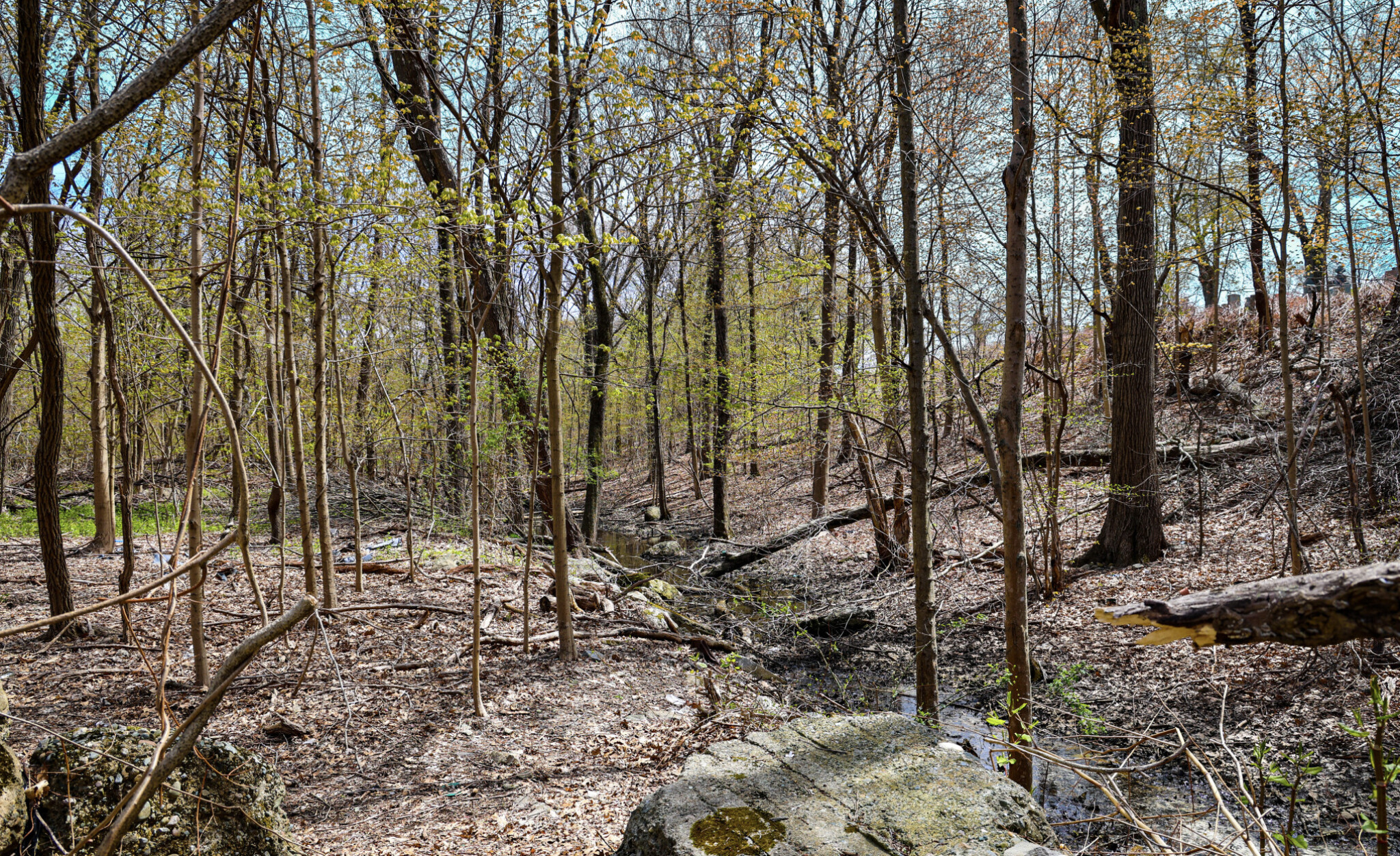 31 Westgate Rd, Chestnut Hill