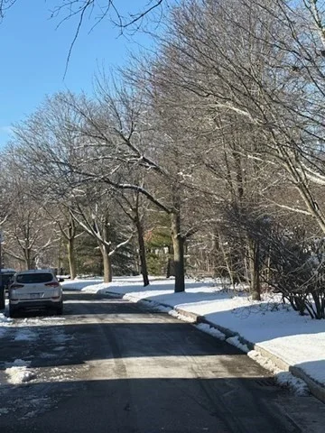 8 Seagrave Rd, North Cambridge