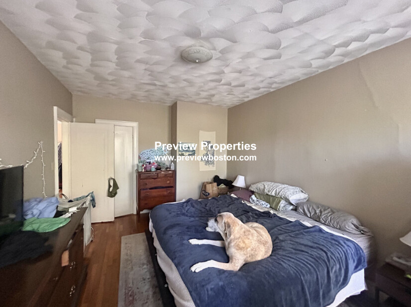 249 Chestnut Hill Ave, Brighton