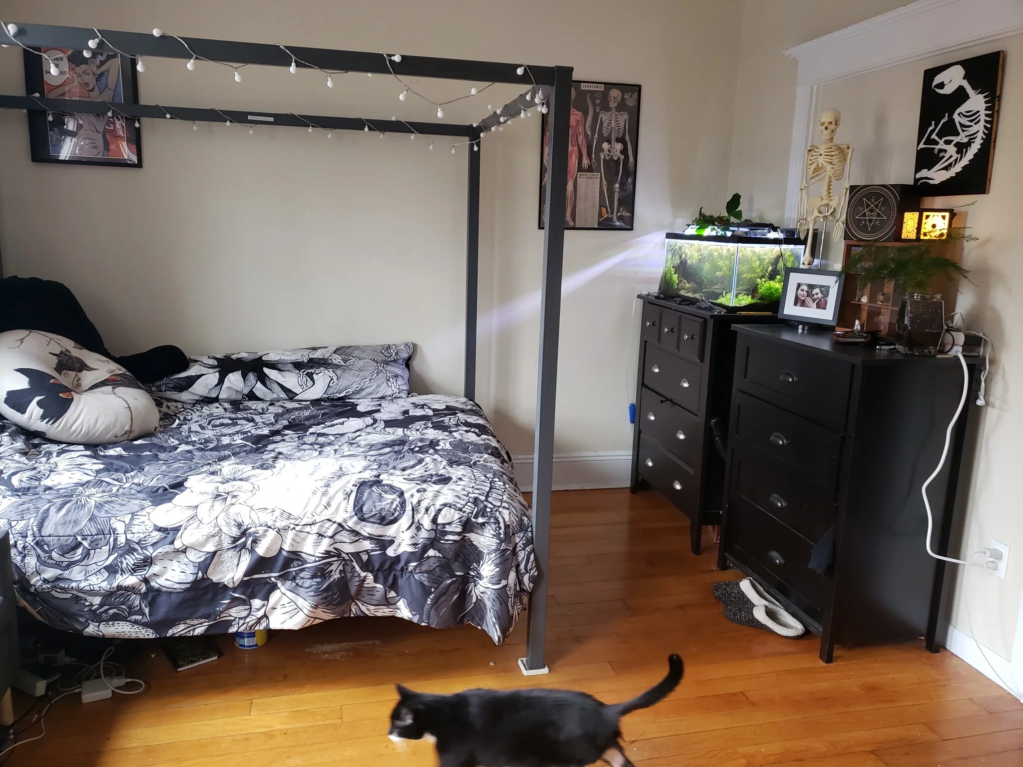 42 Park Vale Ave, Brighton