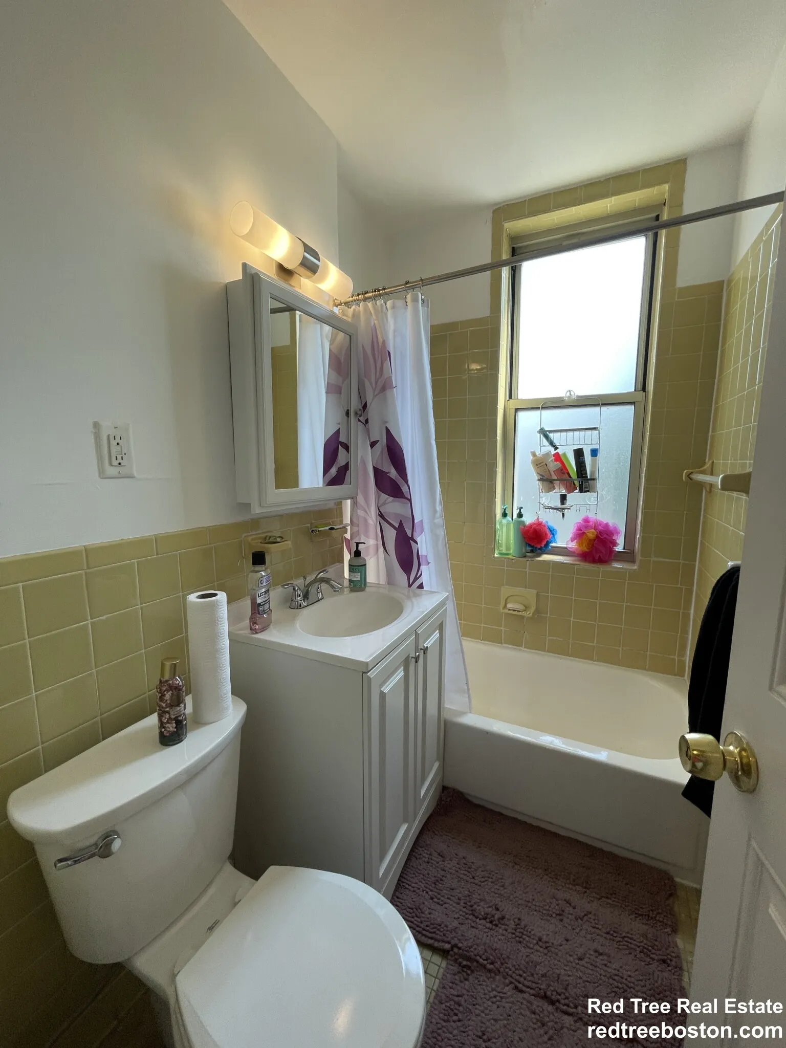 20 Colborne Rd, Brighton