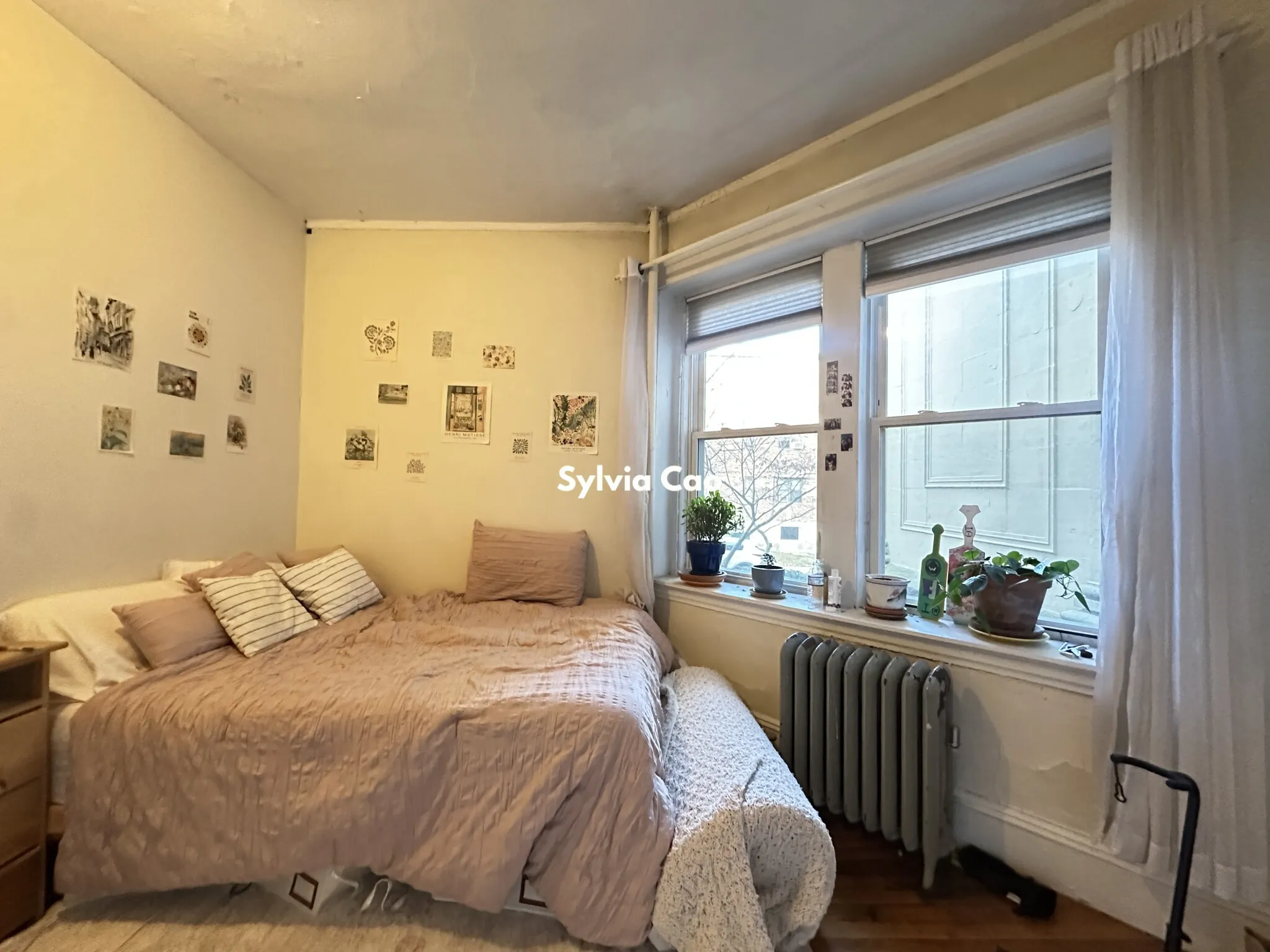 56 Egmont St, North Brookline