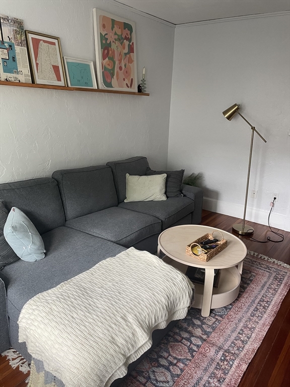 17 Clark Rd, Brookline