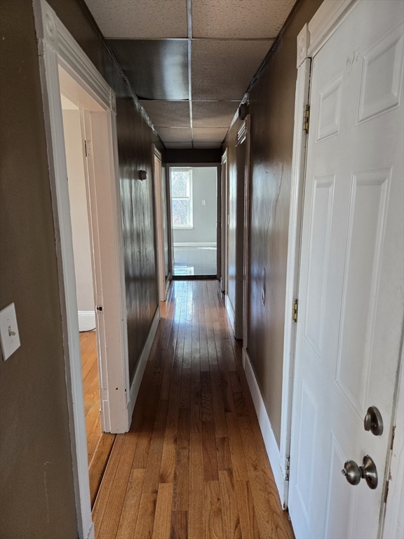 2 Saxton St, Dorchester