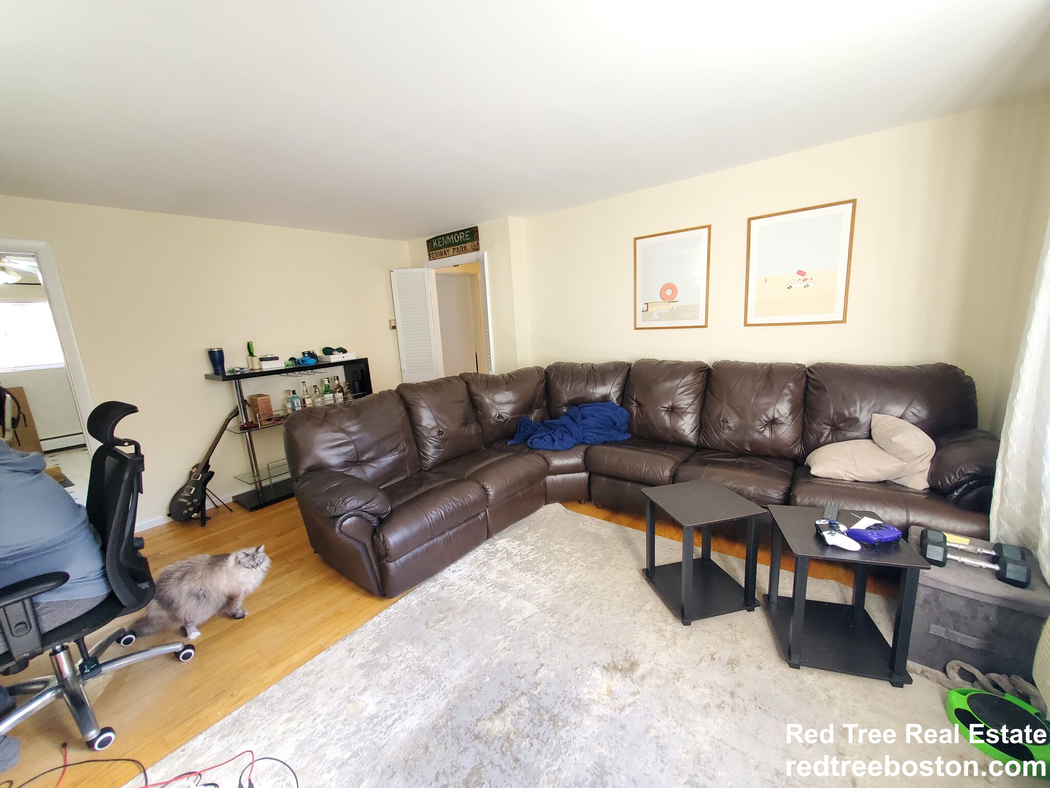 54 Bryon Rd, Chestnut Hill