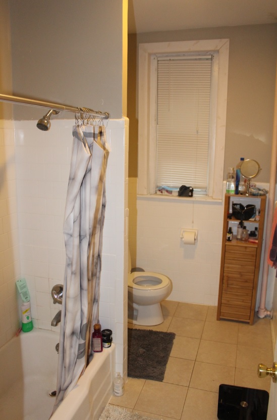 15 Aberdeen St, Fenway