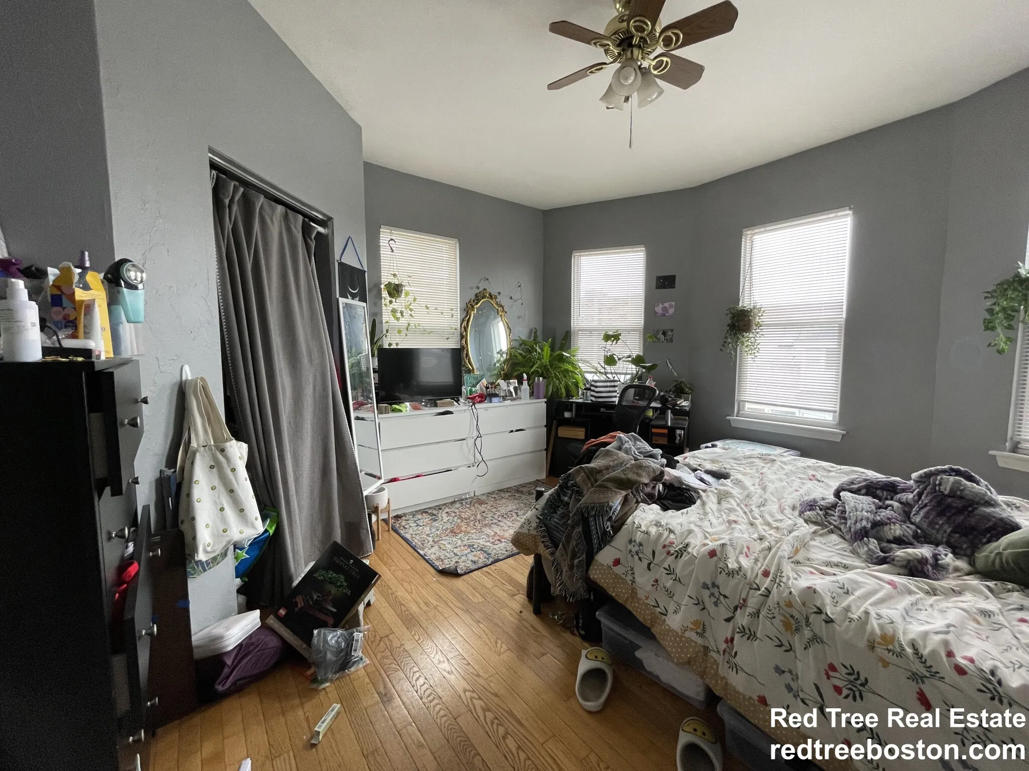 8 Eldora St, Mission Hill