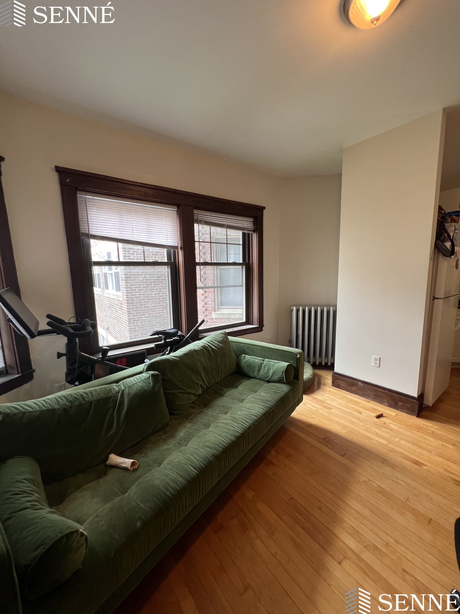 5 Linnaean St, Neighborhood Nine