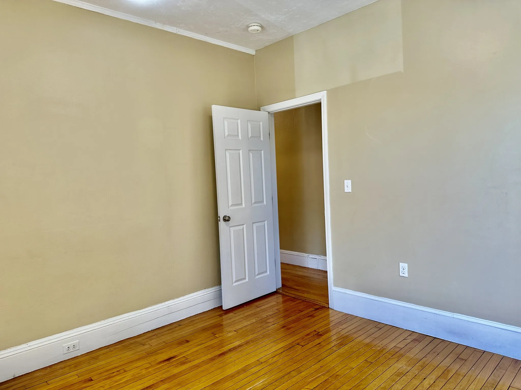 74 Egmont St, North Brookline