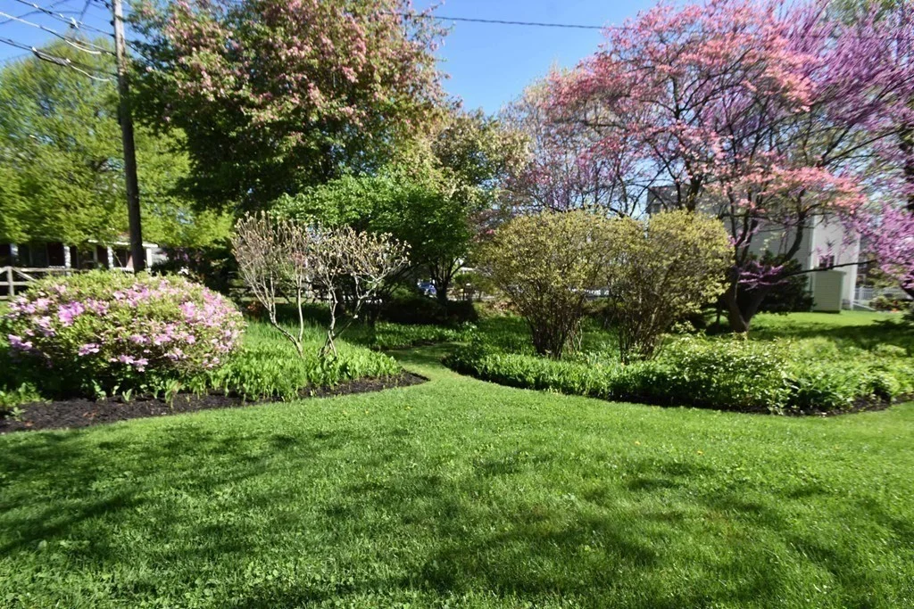 36 Evergreen Ave, Newton