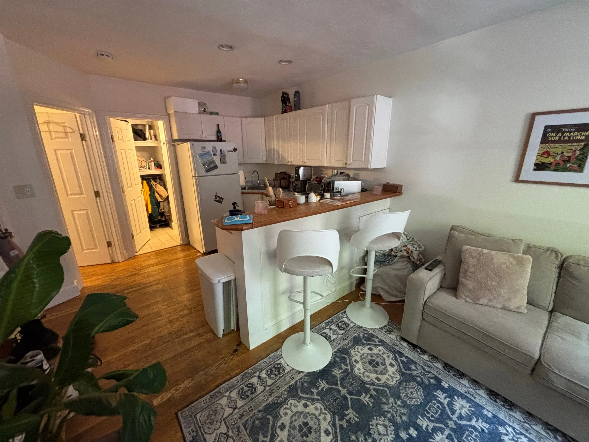 15 Irving St, Beacon Hill