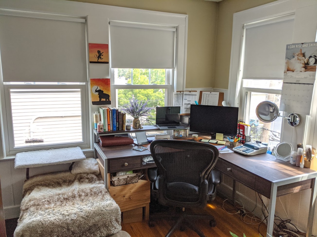 66 Brock St, Oak Square