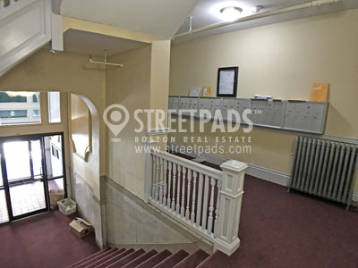 5 Walbridge St, Brighton