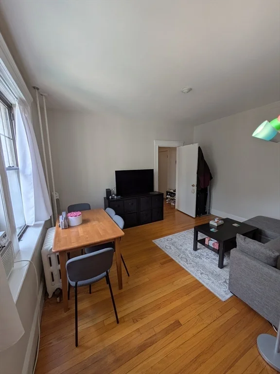 370 Chestnut Hill Ave, Brighton