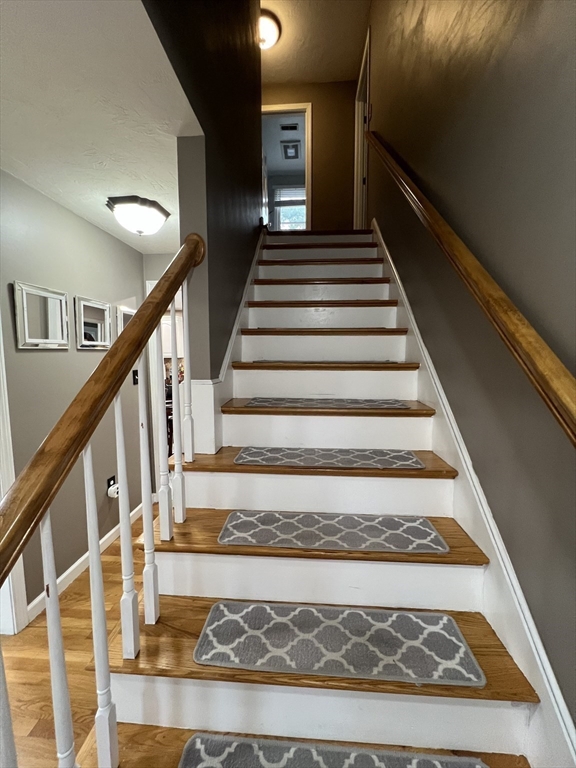 51 Ireta Rd, Shrewsbury