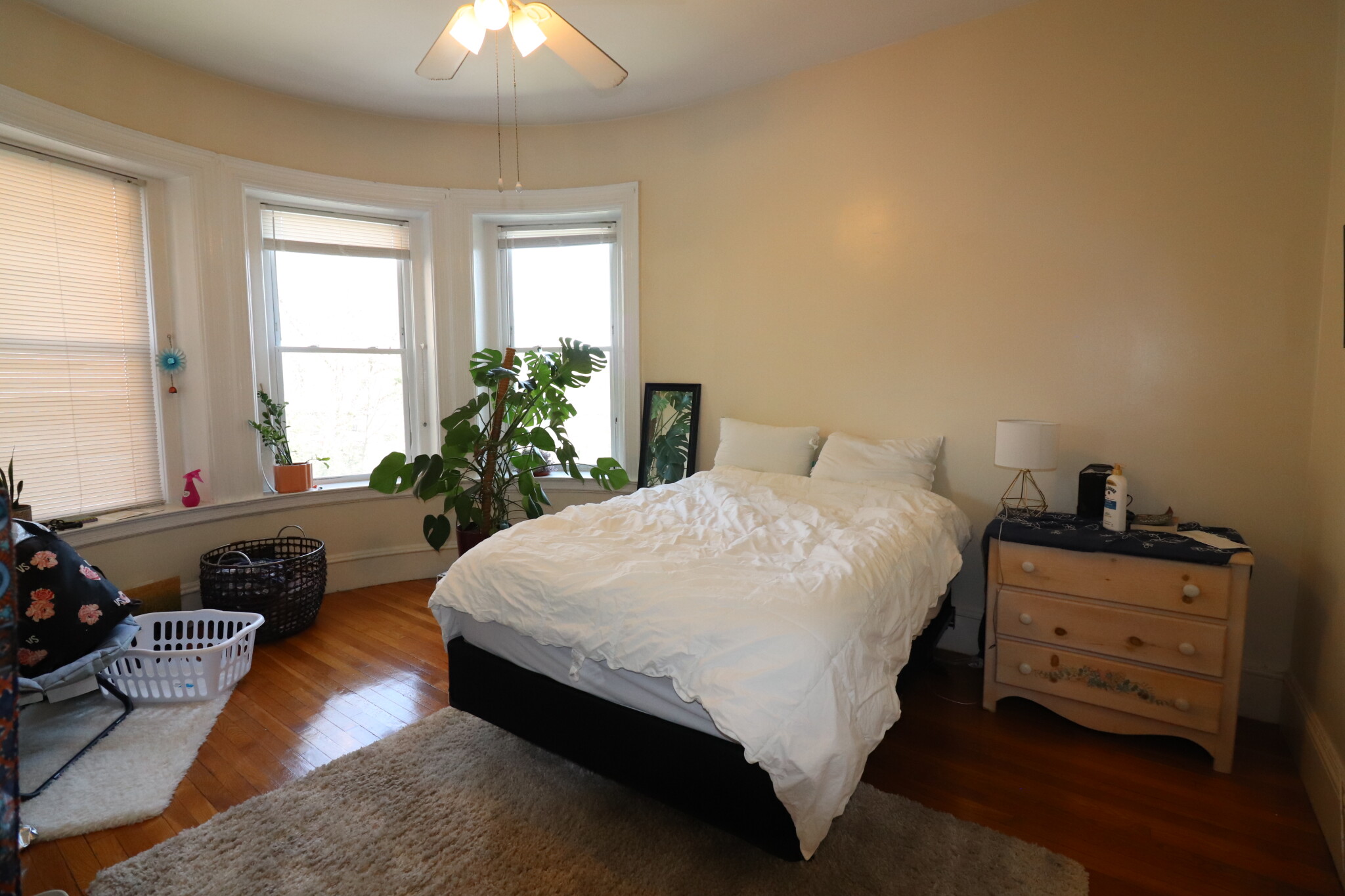 1477 Beacon St, Griggs Park