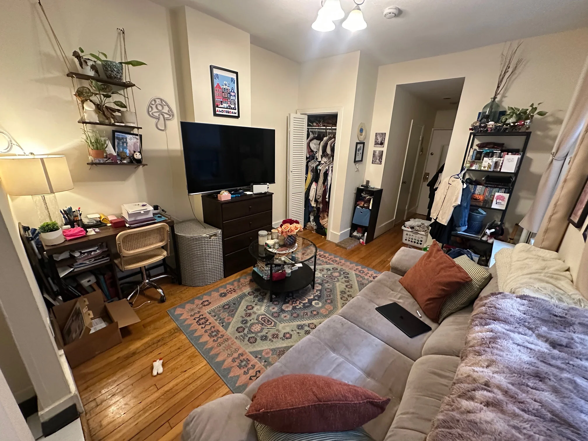 11 Irving St, Beacon Hill