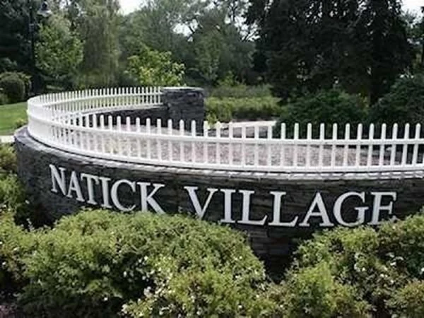 59 Village Brook Ln, Natick