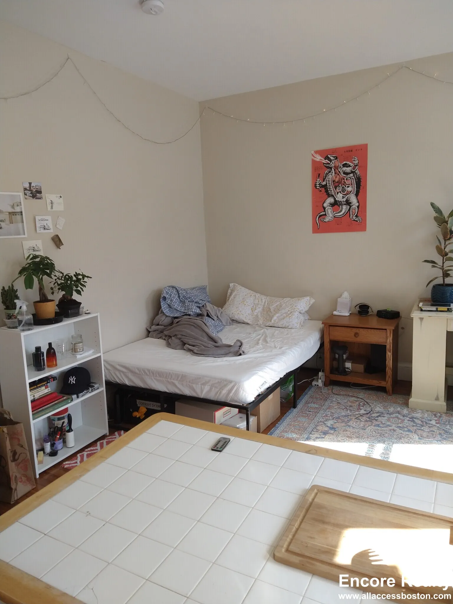 1189 Commonwealth Ave, Allston