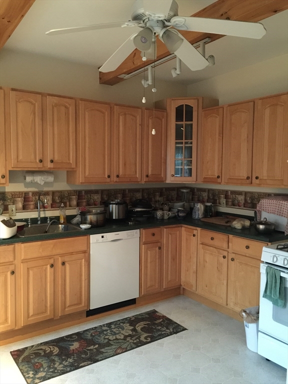 31 Nelson St, North Grafton