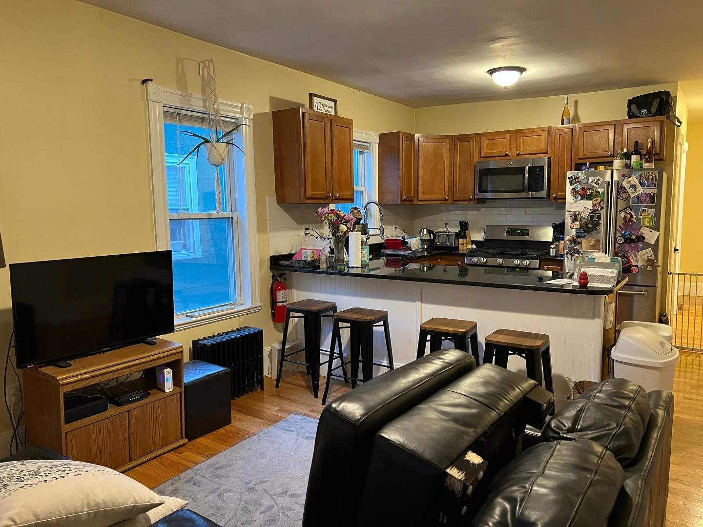 44 Gorham St, Davis Square