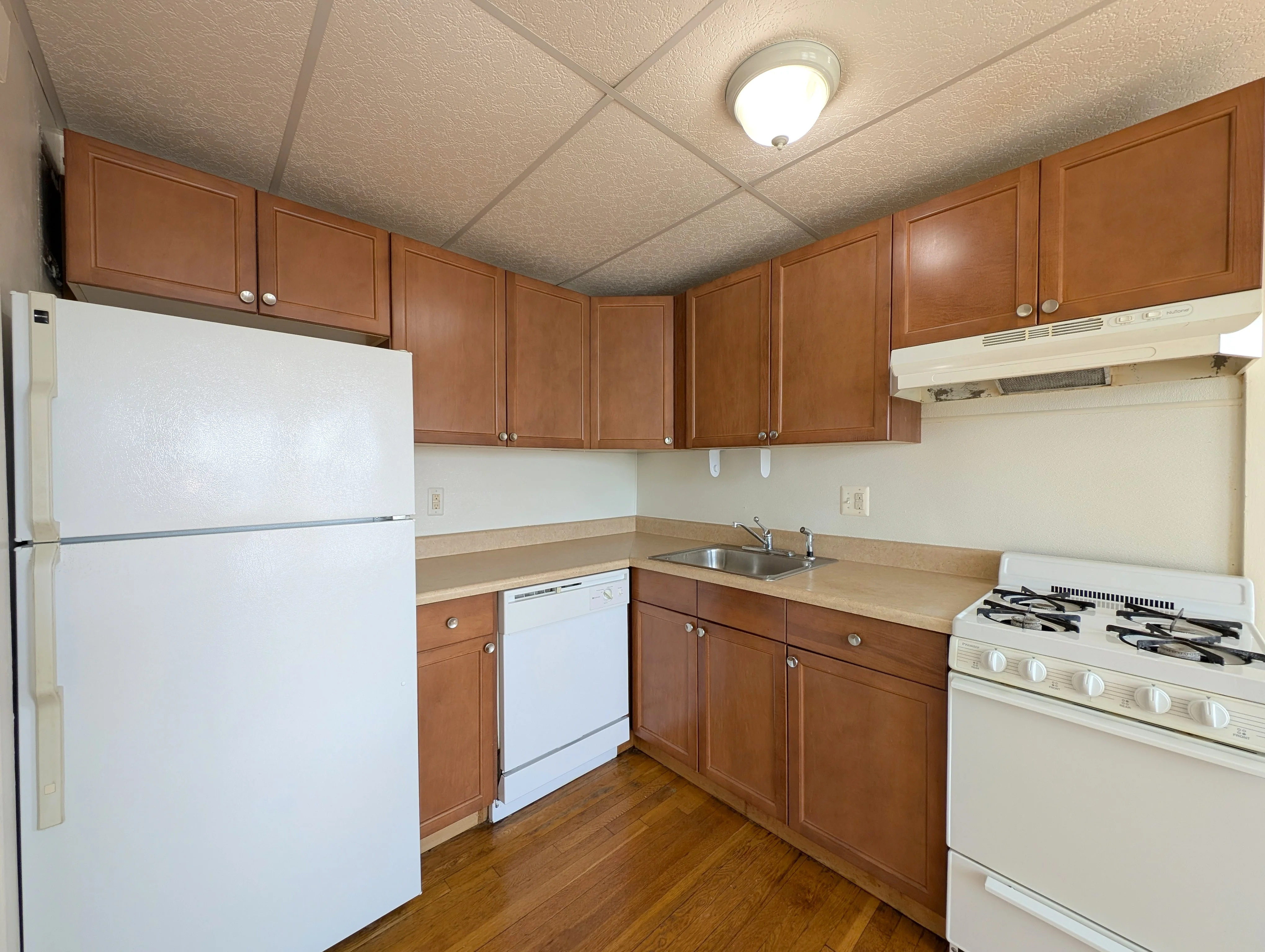 36 College Ave, Tufts