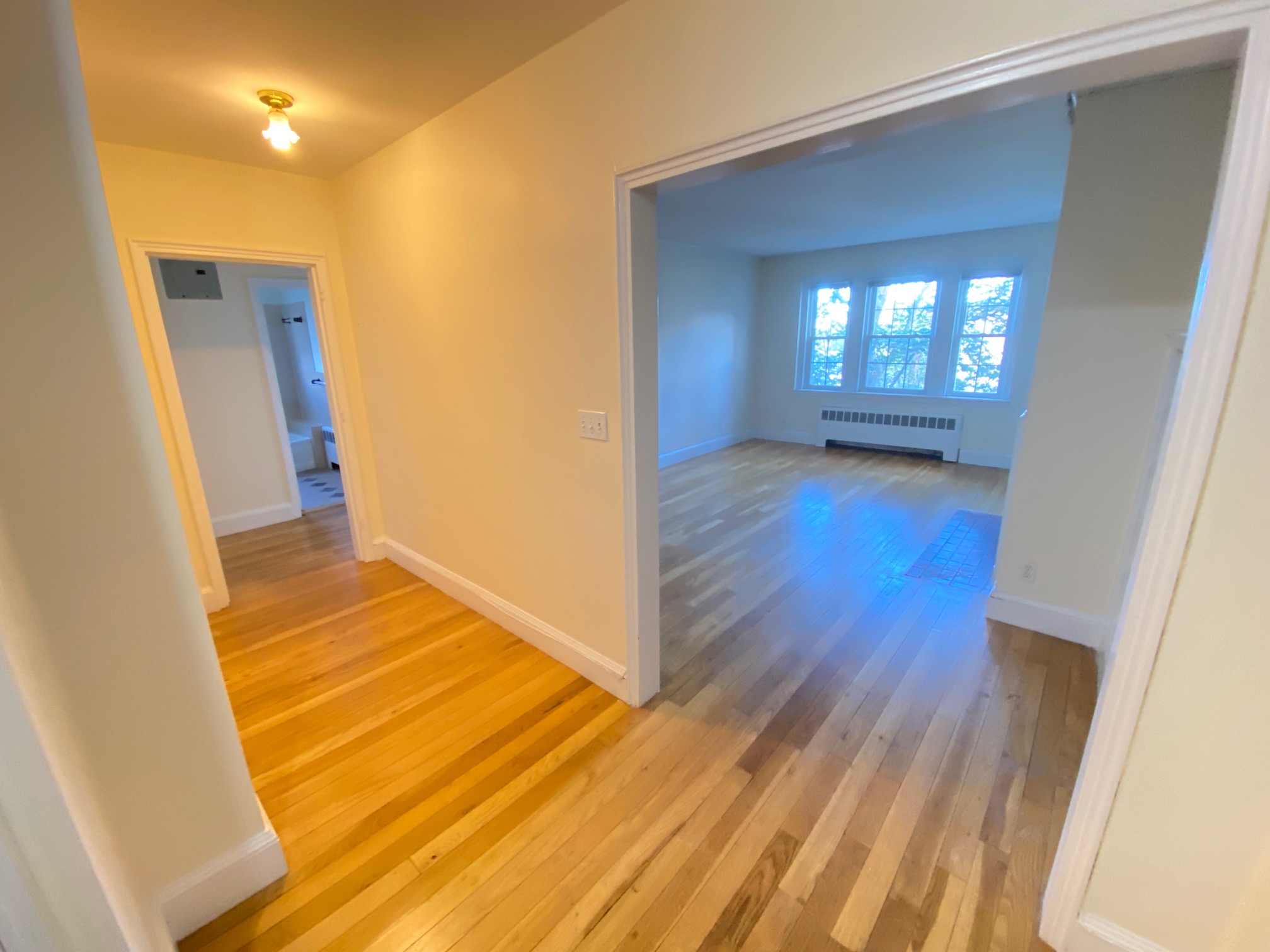 1 bed, 1 bath apartment for rent at 550 Belmont St Unit 28, Watertown — photo 2 of 6