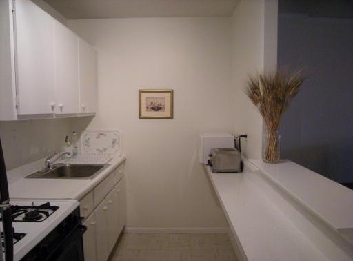 Studio bed, 1 bath apartment for rent at 2 Hawthorne St Unit 3G, West End — photo 5 of 14