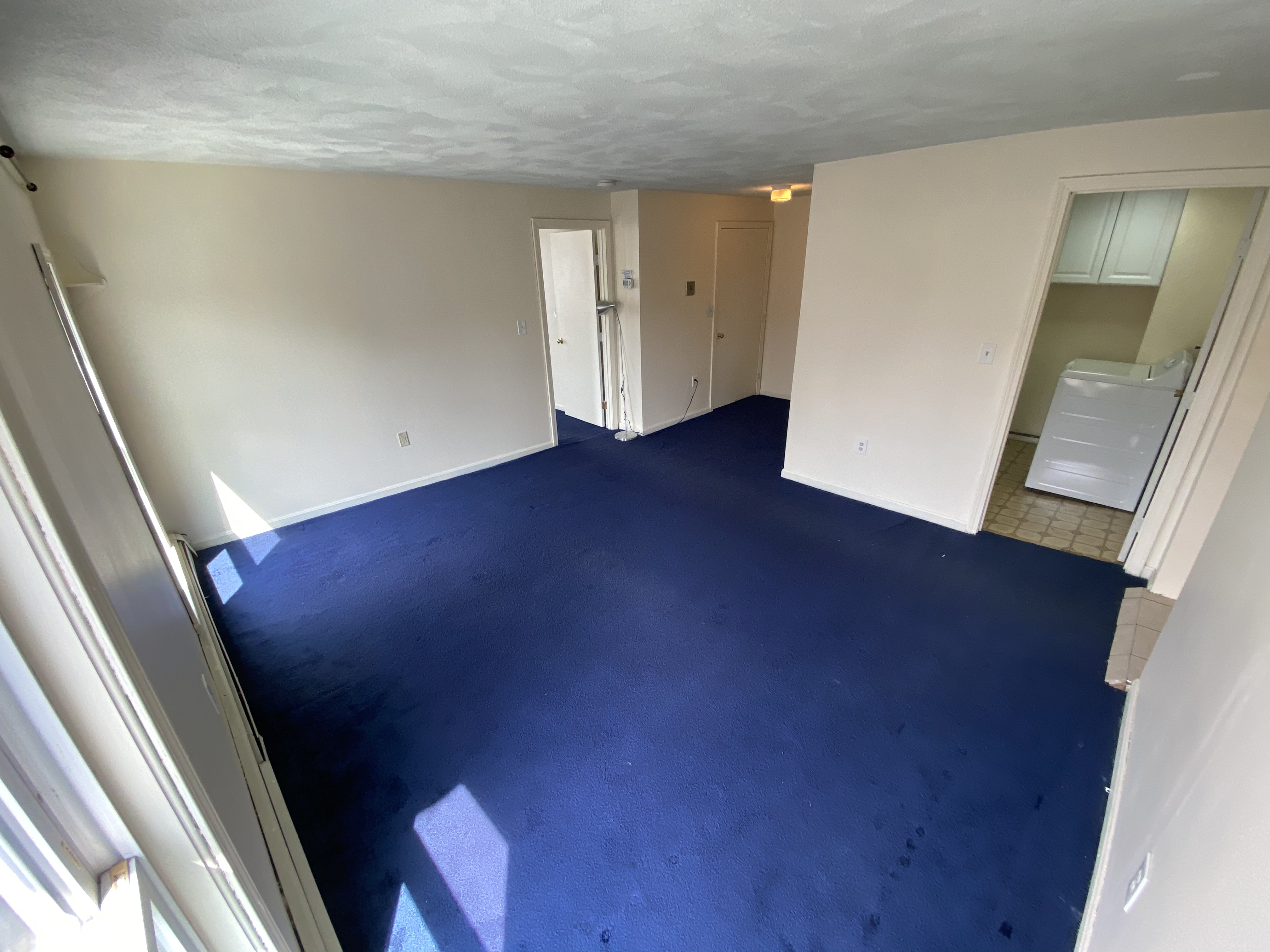 2 bed, 1 bath apartment for rent at 477 Sumner St Unit 4, East Boston — photo 3 of 12