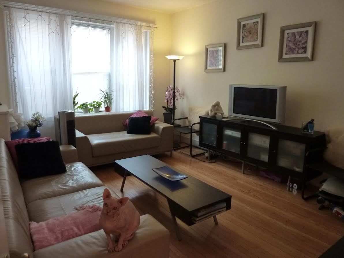 2 bed, 1 bath apartment for rent at 6 Sutherland Rd Unit 5, Brighton — photo 3 of 5