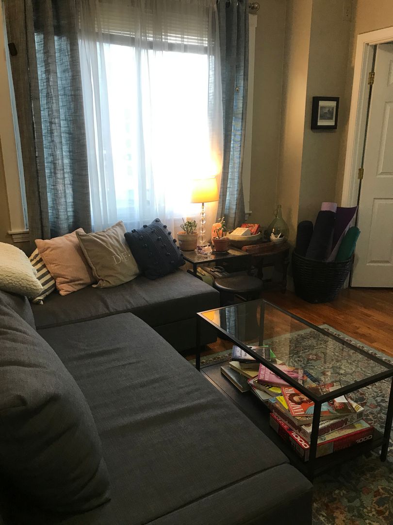 1 bed, 1 bath apartment for rent at 260 Summer St Unit 1, Spring Hill — photo 3 of 10