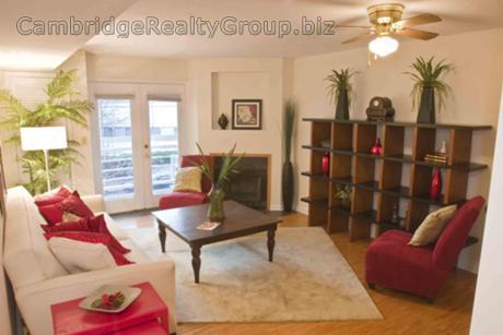 2 bed, 2 bath apartment for rent at 345 Franklin St Unit 302T, Central Square — photo 3 of 23