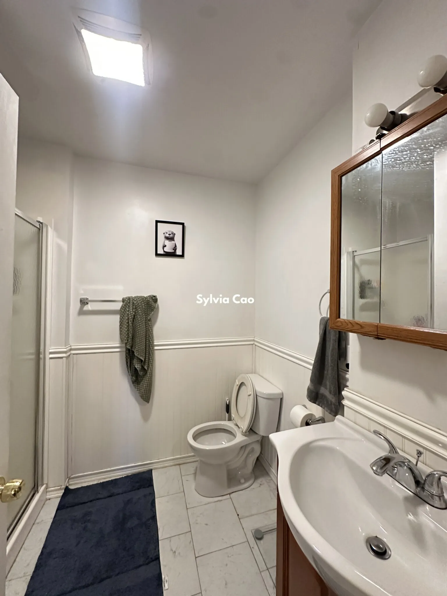 56 Egmont St, North Brookline